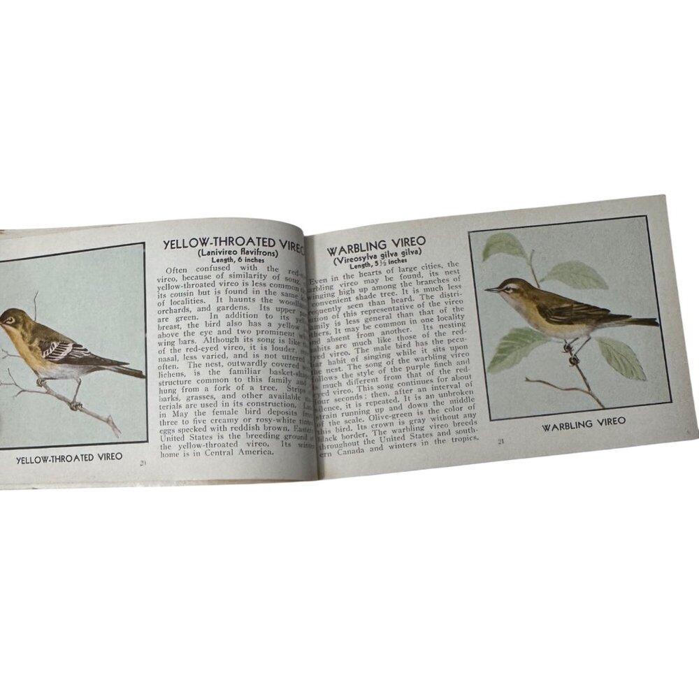 Vintage 1931 "The Green Book Of Birds Of America" By Frank G. Ashbrook - Picture 8 of 16
